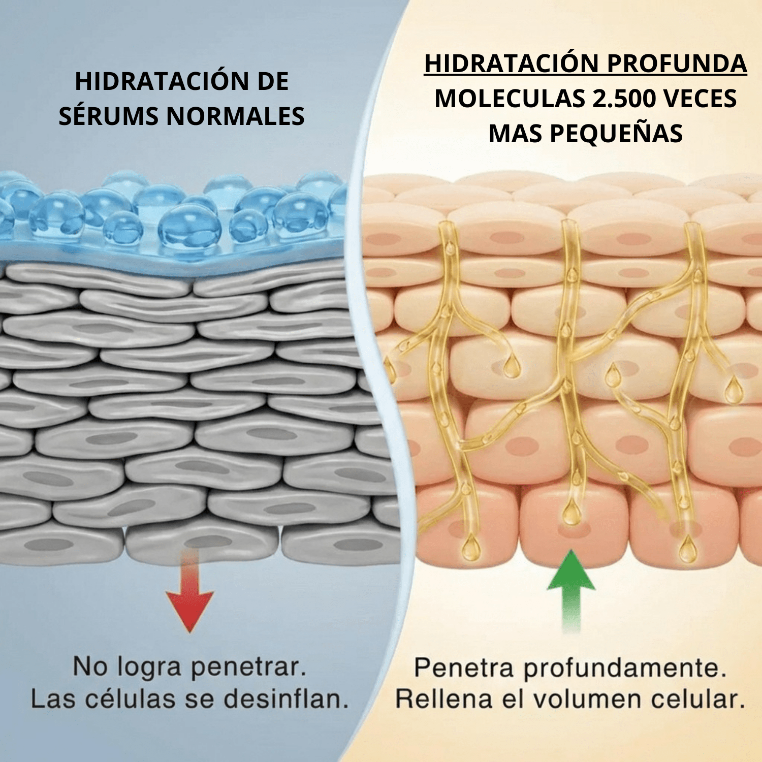 Queriva™ Deep Collagen