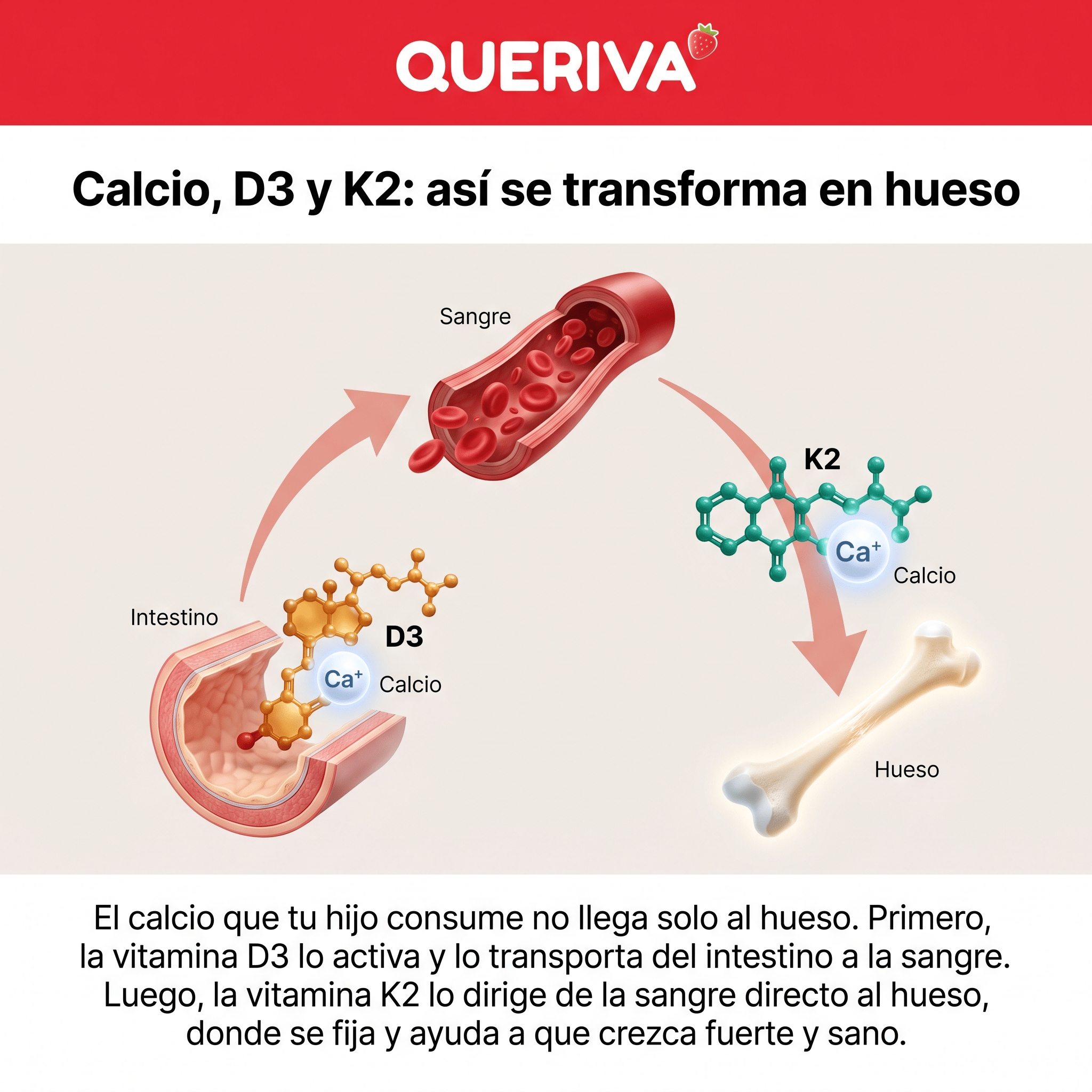 Queriva® | Gomitas para el crecimiento