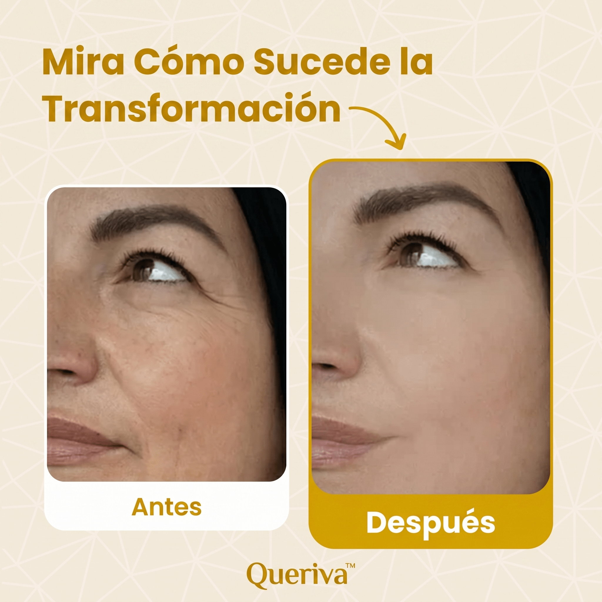 Queriva | TimeReverse®