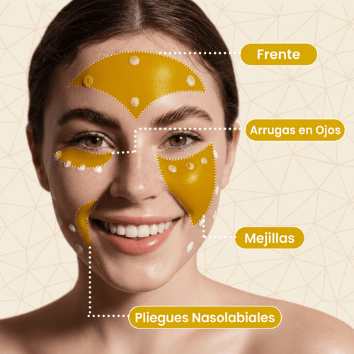 Queriva | TimeReverse®