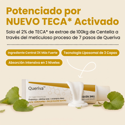 Queriva | TimeReverse®