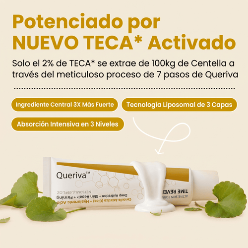Queriva | TimeReverse®